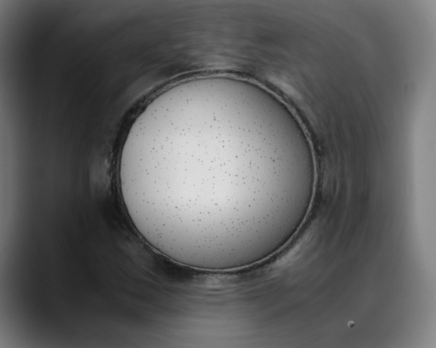 X0000089831163200707121635