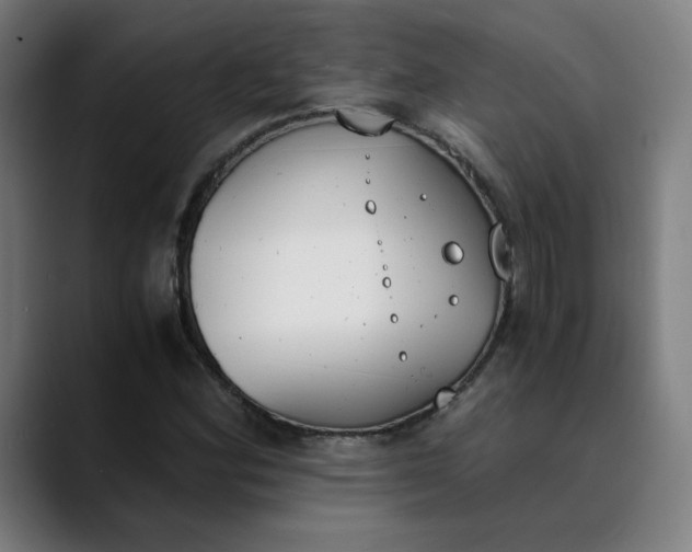 X0000089831164200707121635