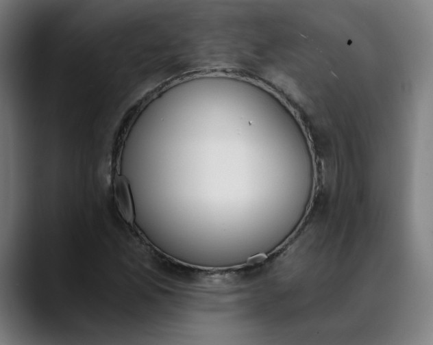 X0000089831165200707121635