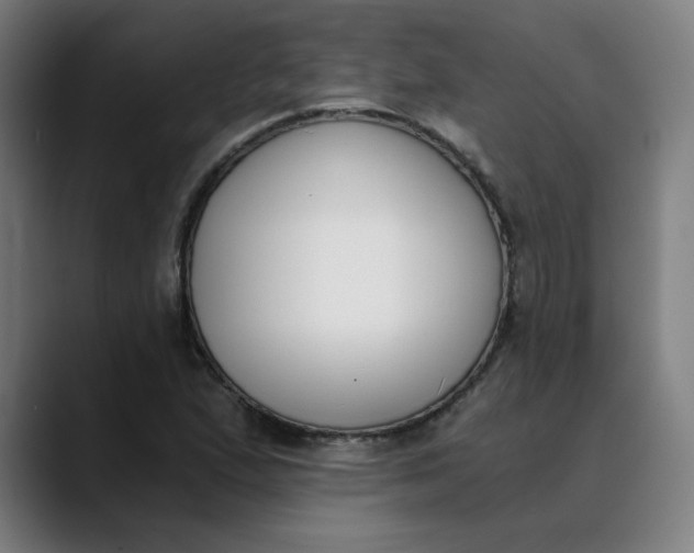 X0000089831167200707121635