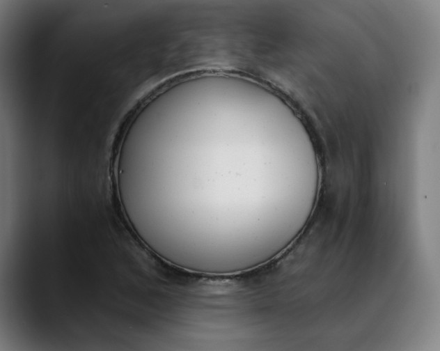 X0000089831168200707121635