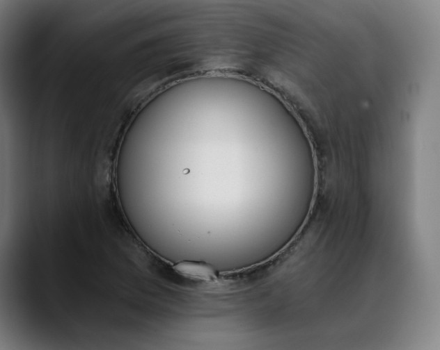 X0000089831169200707121635