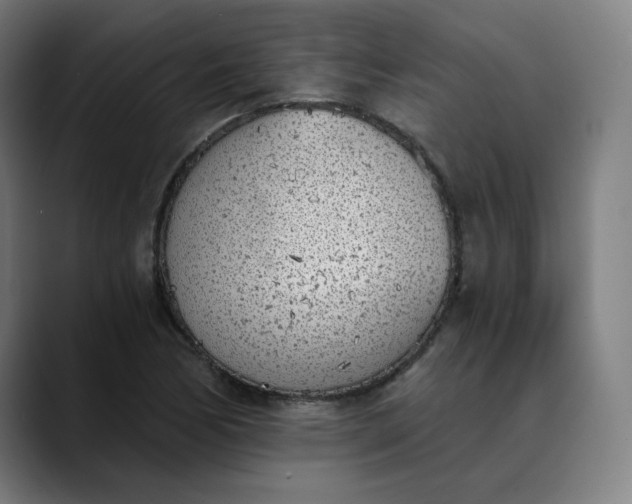 X0000089831170200707121635