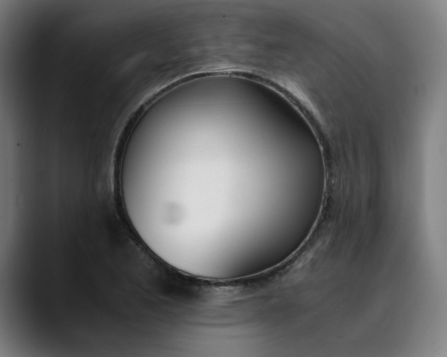 X0000089831173200707121635