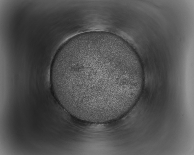 X0000089831174200707121635