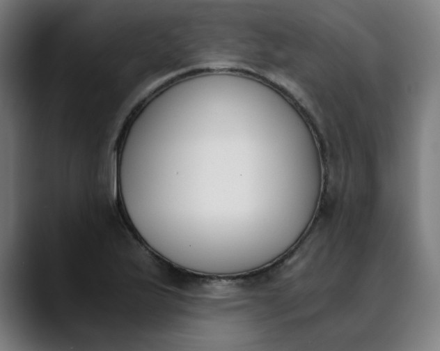 X0000089831175200707121635