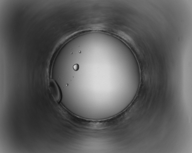 X0000089831176200707121635