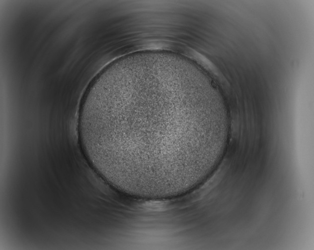 X0000089831178200707121635