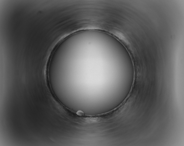 X0000089831181200707121635