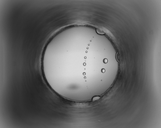 X0000089831183200707121635