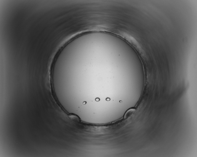 X0000089831184200707121635