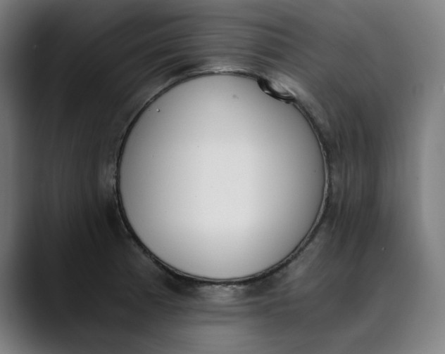 X0000089831185200707121635