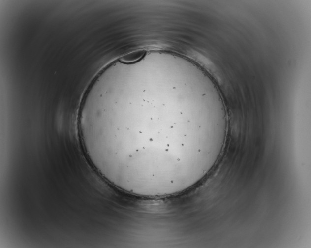 X0000089831186200707121635