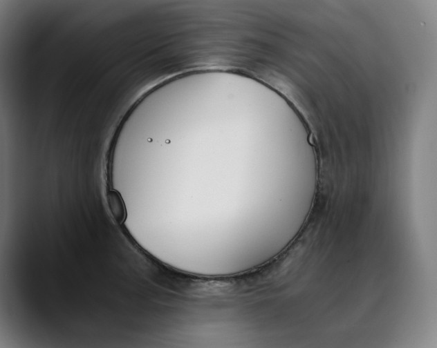 X0000089831187200707121635