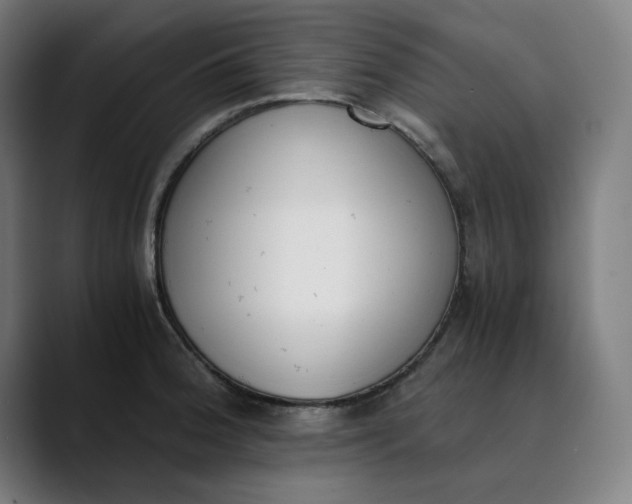 X0000089831188200707121635