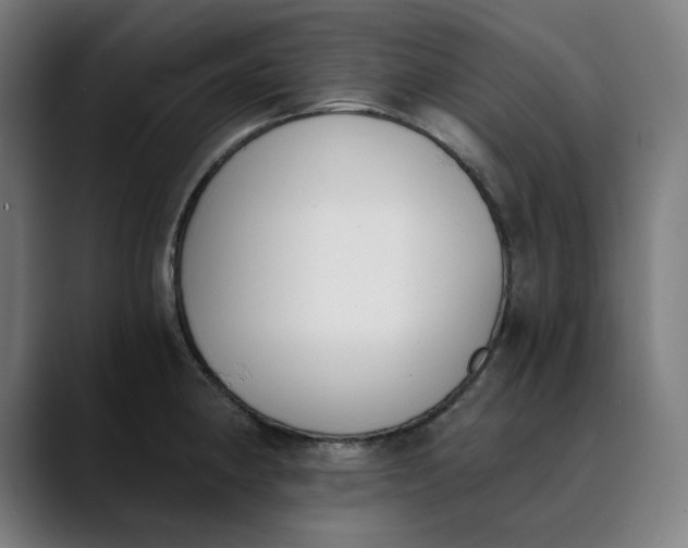 X0000089831190200707121635