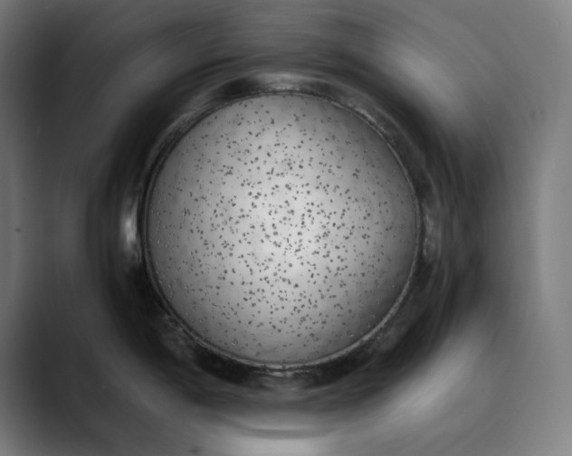 X0000089831198200707121635