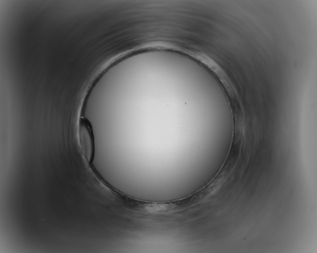 X0000089831199200707121635