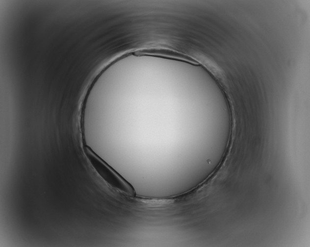 X0000089831200200707121635