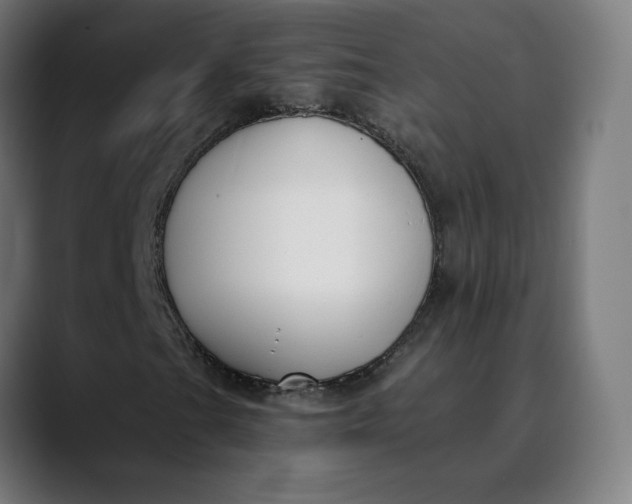 X0000089831201200707121634