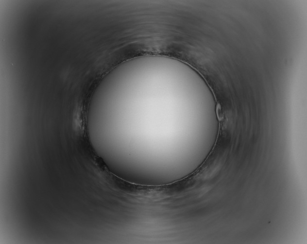 X0000089831202200707121634