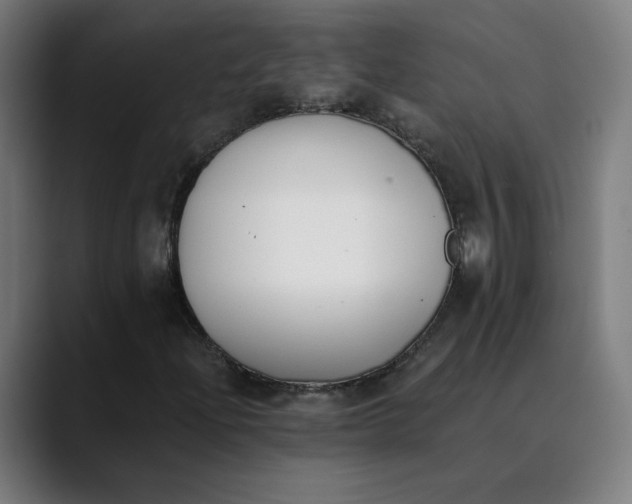 X0000089831204200707121634