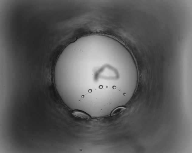 X0000089831205200707121634