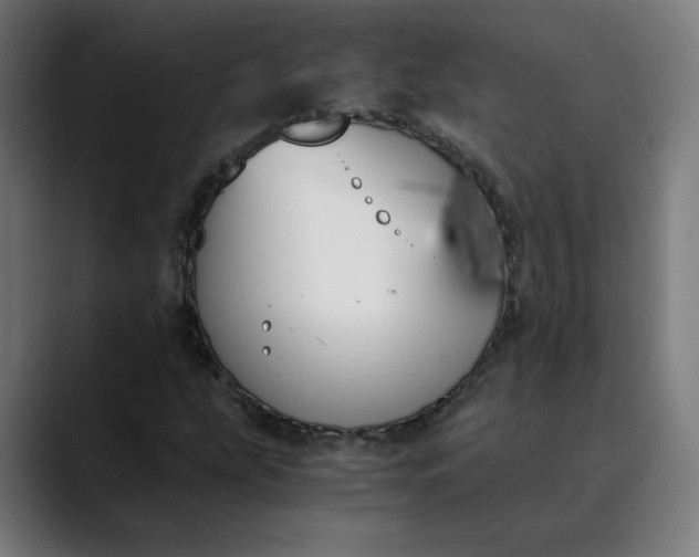 X0000089831207200707121634