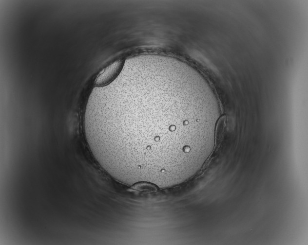 X0000089831208200707121634