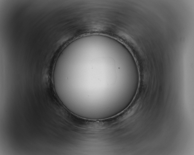 X0000089831210200707121634