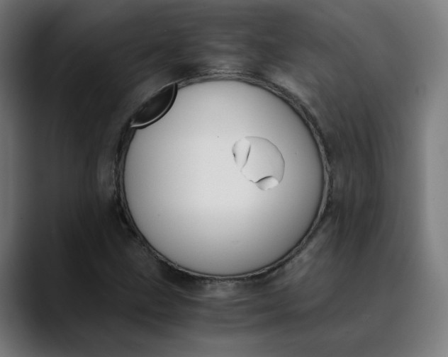 X0000089831211200707121634