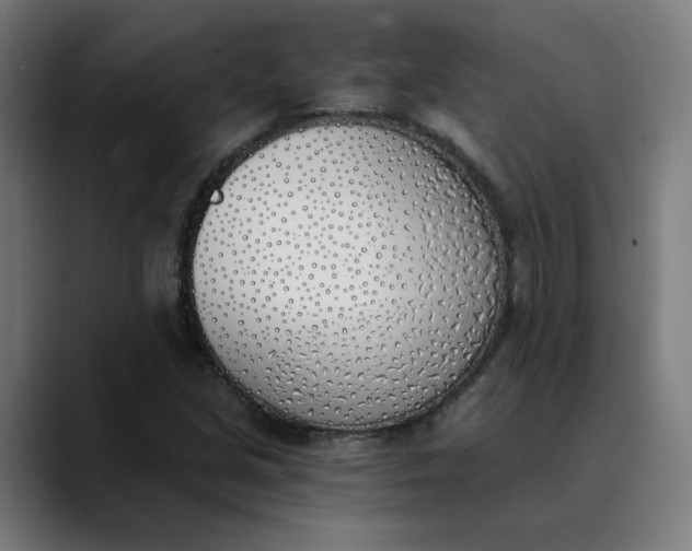 X0000089831213200707121634