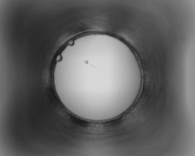 X0000089831215200707121634