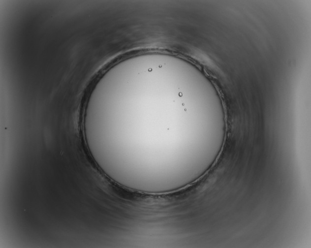 X0000089831216200707121634