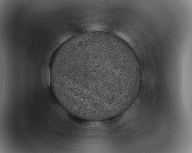 X0000089831219200707121634