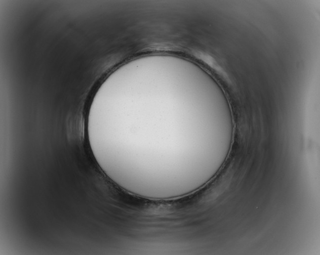 X0000089831221200707121634