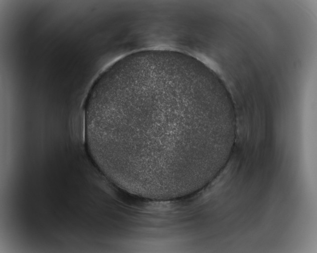 X0000089831223200707121634