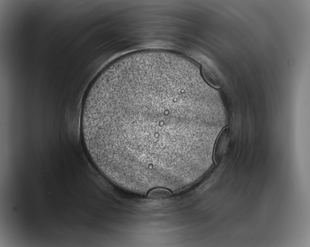 X0000089831228200707121635