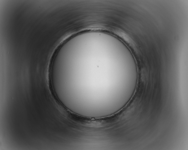 X0000089831229200707121635