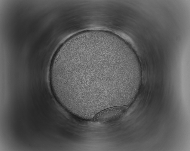 X0000089831231200707121635