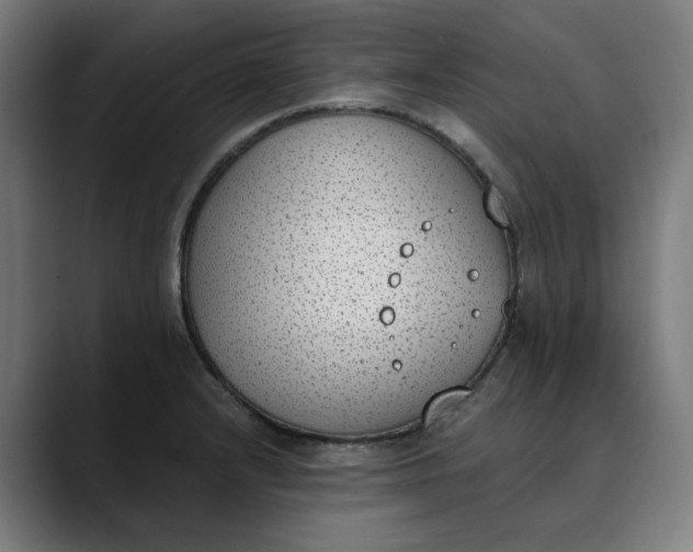 X0000089831232200707121635