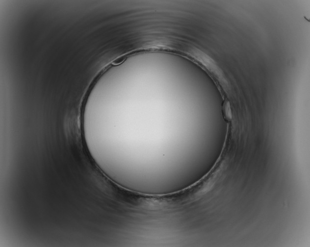 X0000089831234200707121635