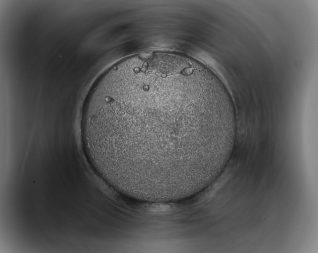 X0000089831235200707121635