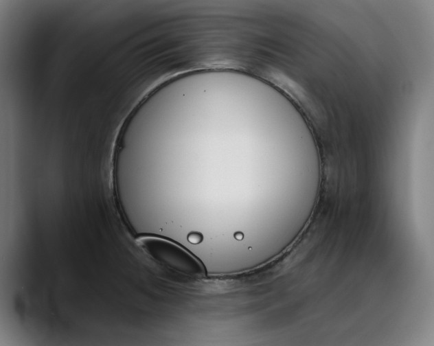 X0000089831236200707121635