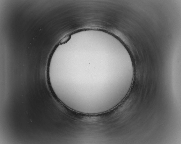 X0000089831237200707121635