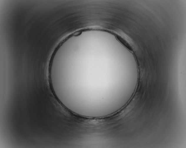 X0000089831240200707121635