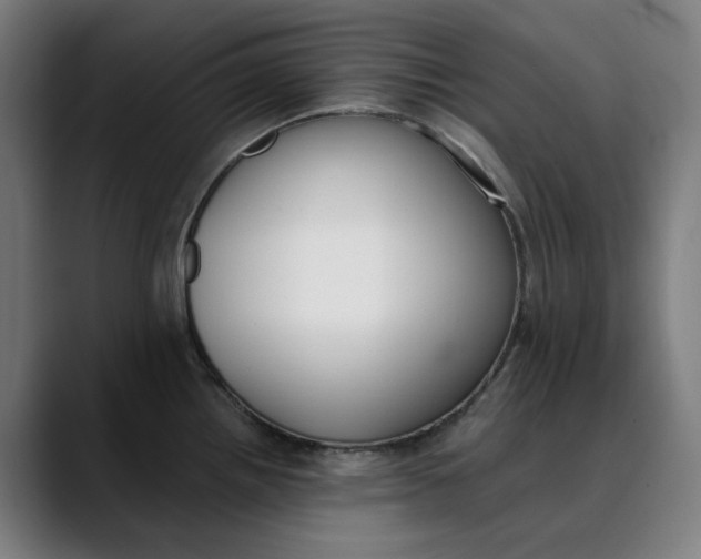 X0000089831242200707121635