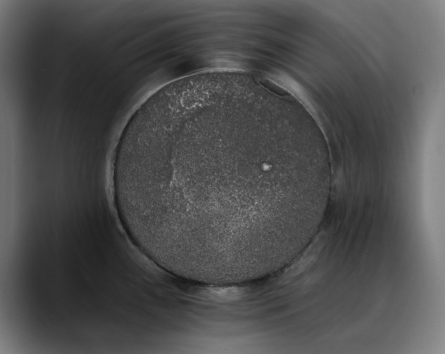 X0000089831243200707121635