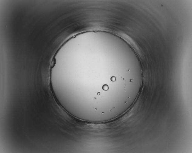 X0000089831244200707121635