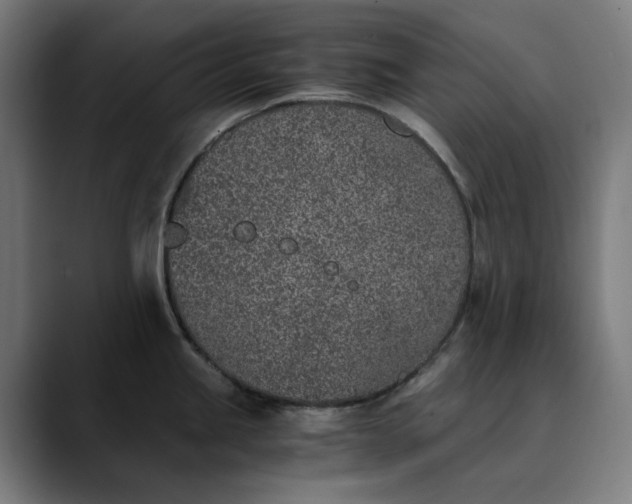 X0000089831245200707121635